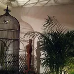 Hotel Chambres D'hotes Le Petit Siam : Le Calme En Centre *