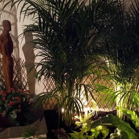 Couette-café Le Petit Siam : Le Calme En Centre Clermont-Ferrand