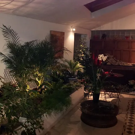 Chambres D'hotes Le Petit Siam : Le Calme En Centre * 克莱蒙费朗