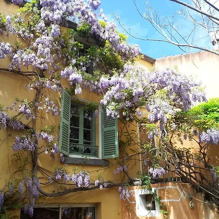 Bed & Breakfast Chambres D'hotes Le Petit Siam : Le Calme En Centre