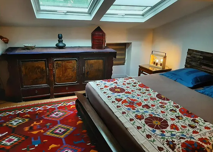 Hotel Chambres D'hotes Le Petit Siam : Le Calme En Centre Clermont-Ferrand