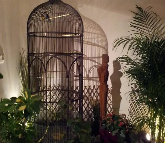 Chambres D'hotes Le Petit Siam : Le Calme En Centre Clermont-Ferrand