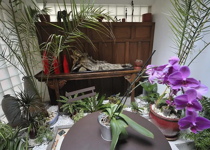 Chambres D'hotes Le Petit Siam : Le Calme En Centre Clermont-Ferrand